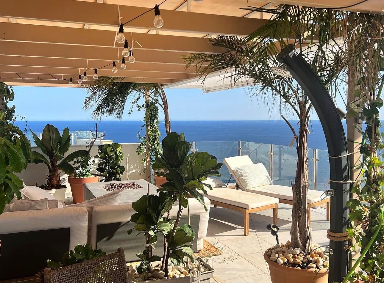 Pergola lounge with sofa, plants and string lights at sunset